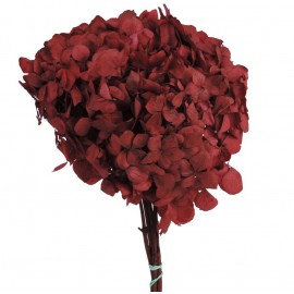 Hortensia Rojo Ø 23 cm
