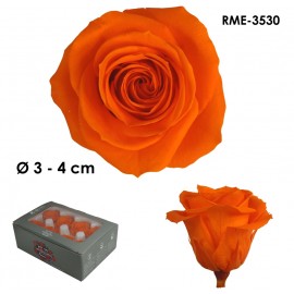 Rosa Mediana Ø 4 cm Naranja...