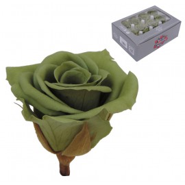 Mini Rosa Ø 3,5 cm Verde Te (12 uds)