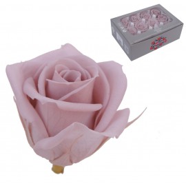 Mini Rosa Ø 3,5 cm Cherry Blossom (12 uds)