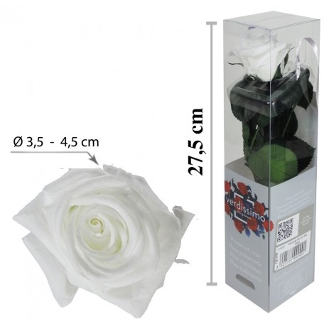 Rosa con Tallo Mini Blanca ↕27,5 cm