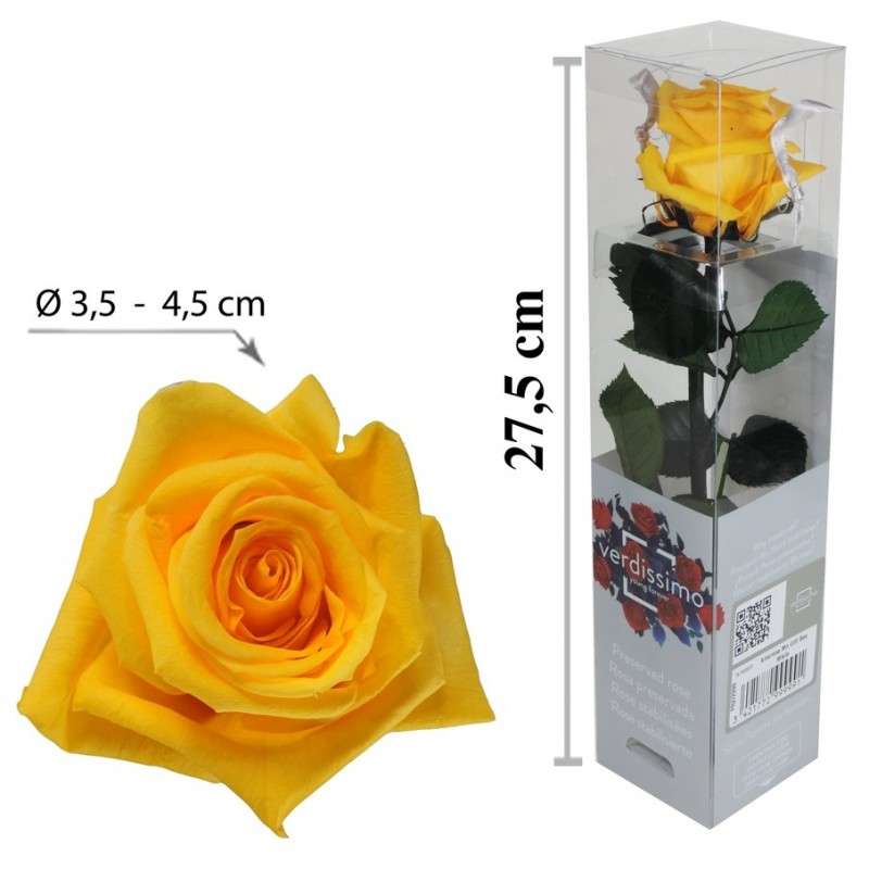 Rosa con Tallo Mini Amarillo ↕27,5 cm