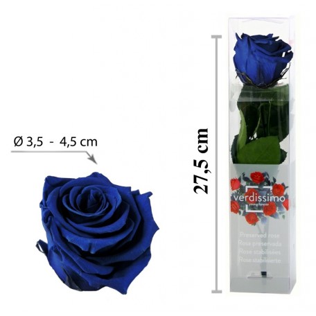 Rosa con Tallo Mini Azul ↕27,5 cm