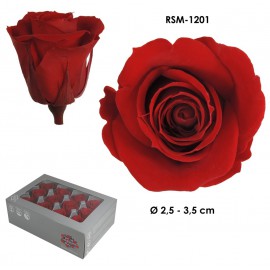 Mini Rosa Ø 3,5 cm Rojo (12 uds)