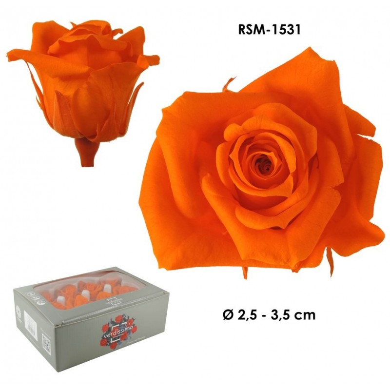 Mini Rosa Ø 3,5 cm Naranja (12 uds)