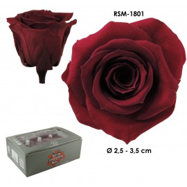 Mini Rosa Ø 3,5 cm Burgundy (12 uds)
