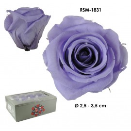 Mini Rosa Ø 3,5 cm Lila (12 uds)