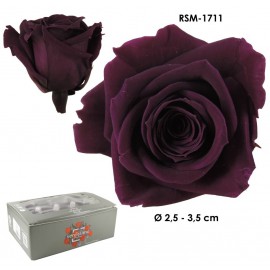 Mini Rosa Ø 3,5 cm Byzantium (12 uds)