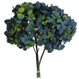Hortensia Azul / Verde Ø 23 cm