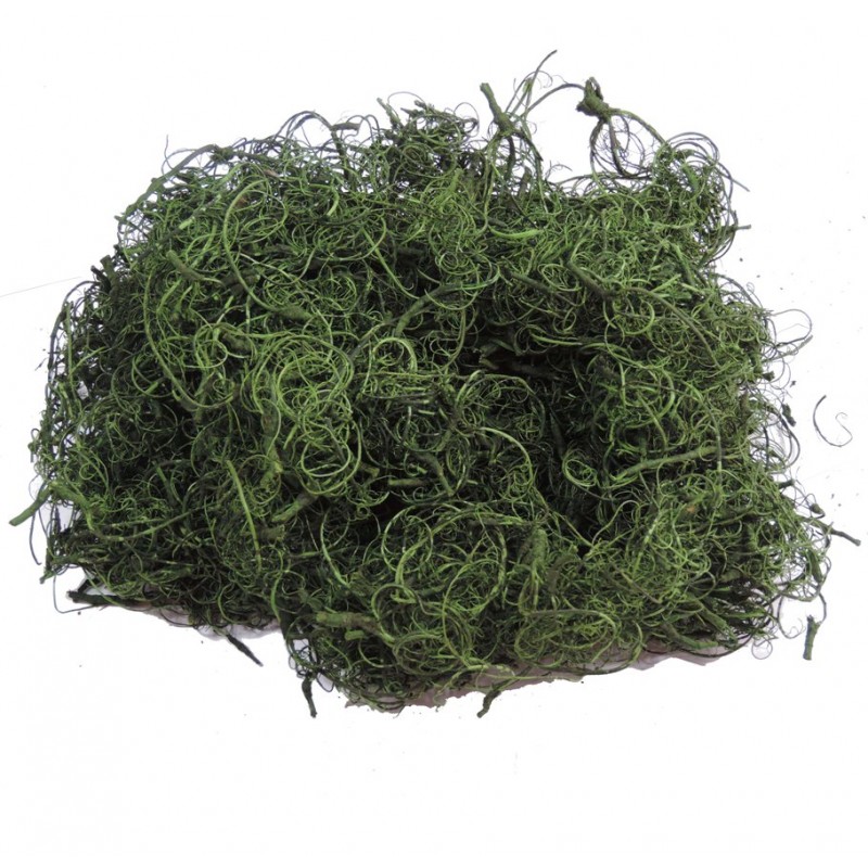 Curly Moss Verde 200 grs
