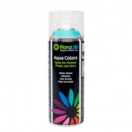 Spray Aquacolor Mint