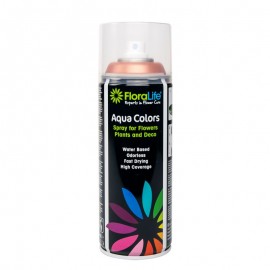 Spray Aquacolor Cobre...