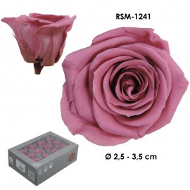 Mini Rosa Ø 3,5 cm...