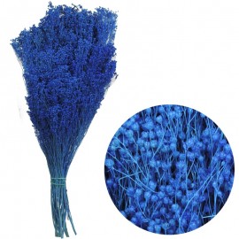 Brooms Azul Electrico 100 grs