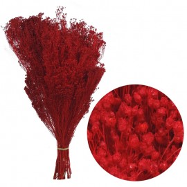 Brooms Rojo 100 grs